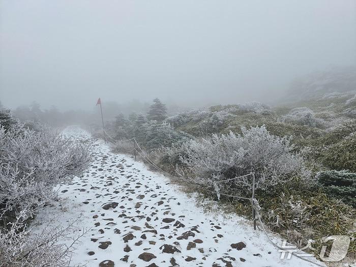 본문 이미지 -  한라산에 내린 눈.(한라산국립공원관리소 제공. 재판매 및 DB 금지)/뉴스1