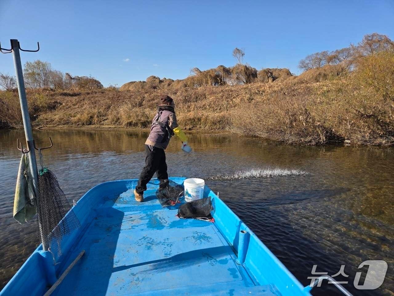 본문 이미지 - 지난 18일 한탄강에서 지역 어민이 다슬기 치어를 방류하고 있다. &#40;연천군 제공, 재판매 및 DB금지&#41;