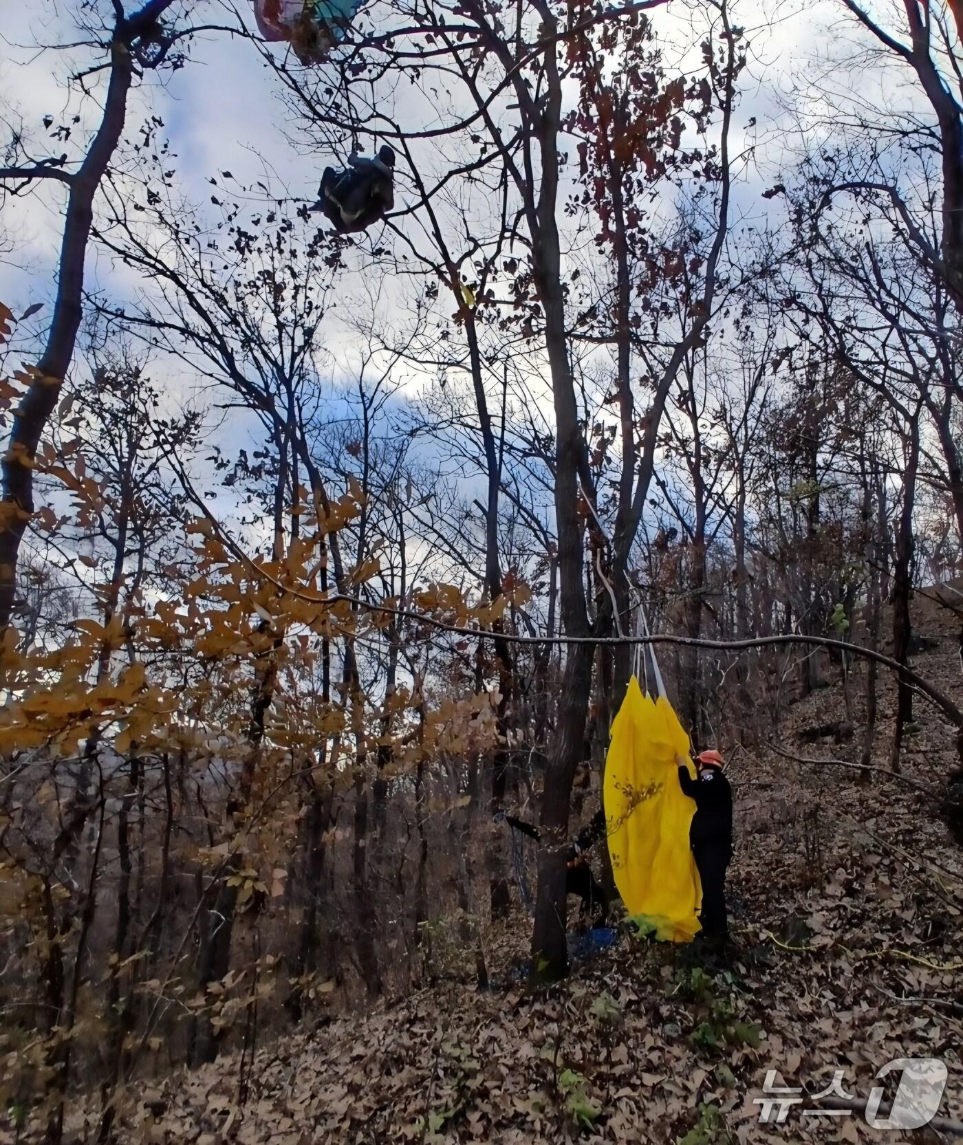 본문 이미지 - 전북 임실군 신덕면의 한 야산에서 활강하던 60대가 나무에 걸려 50분만에 구조됐다. (전북소방본부 제공)/뉴스1