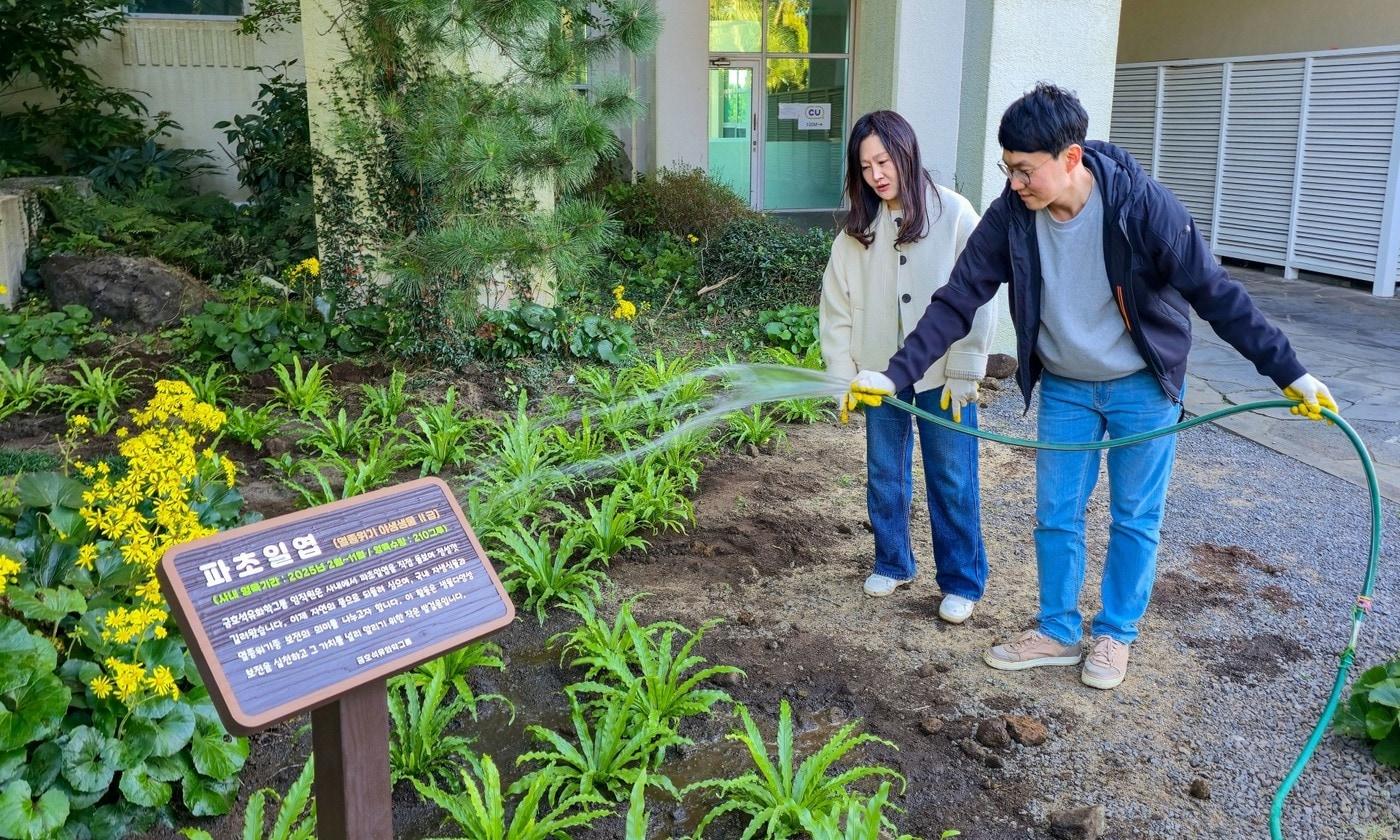 금호석유화학그룹 직원들이 금호제주리조트에 식재한 파초일엽에 물을 주고 있다&#40;금호석유화학 제공&#41;. ⓒ 뉴스1