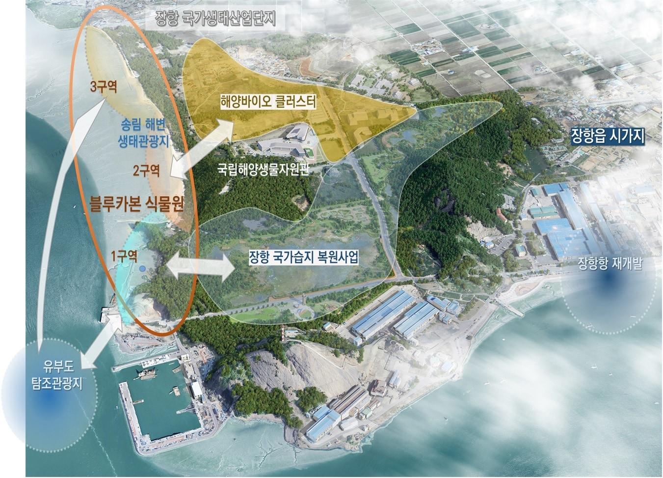 본문 이미지 - 블루카본 사업 계획도.&#40;서천군 제공. 재판매 및 DB금지&#41;/뉴스1