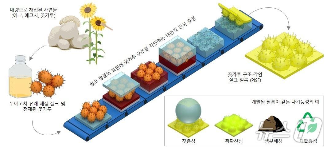 본문 이미지 - 금오공대 박준용 교수팀 생분해성 필름 개념도/뉴스1