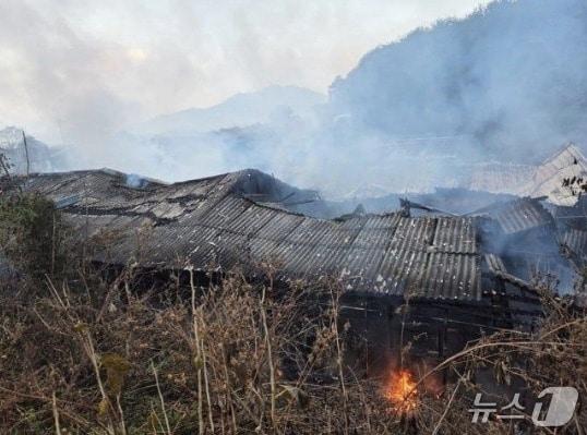 본문 이미지 - 지난 1일 경기 포천시 군내면의 돼지농장에서 불이 난 모습. &#40;사진=경기도북부소방재난본부&#41;