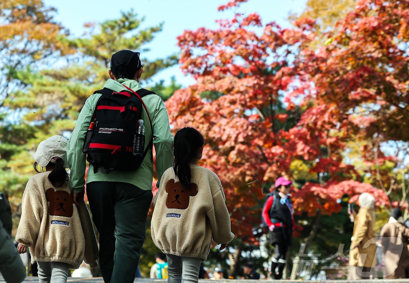 본문 이미지 - 서울 중구 남산을 찾은 시민과 관광객들이 가을의 정취를 느끼고 있다. 2025.11.2 ⓒ 뉴스1 김진환 기자