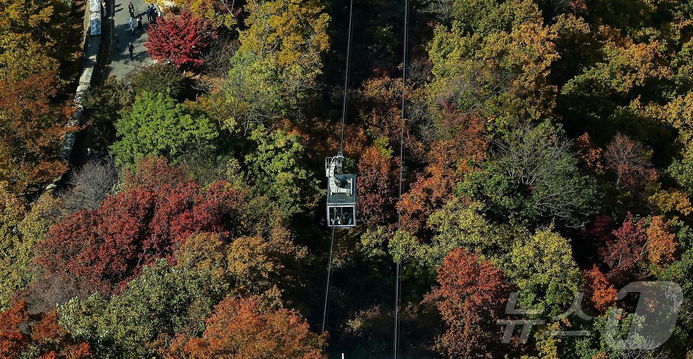 기온이 뚝 떨어진 2일 오후 서울 중구 N서울타워에서 바라본 남산에 단풍이 물들어 있다. 2025.11.2/뉴스1 ⓒ News1 김진환 기자