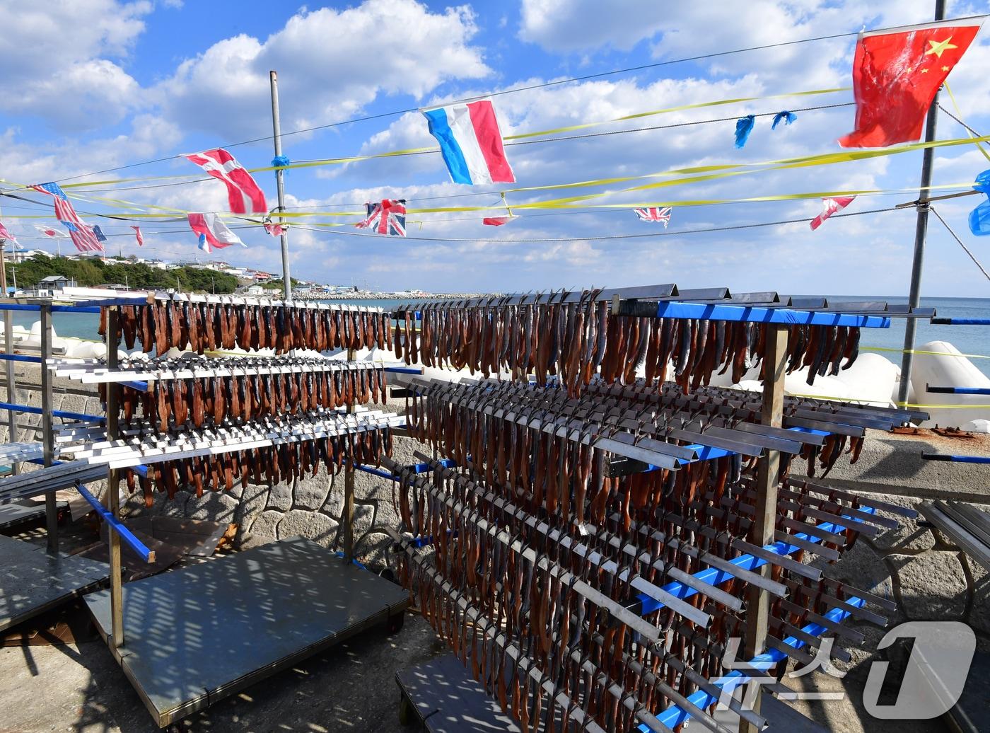 본문 이미지 - 3일 대구와 경북지역은 아침에 기온이 떨어져 춥겠다. 사진은 지난 2일 경북 포항시 남구 구룡포 해안도로의 꽁치 과메기 말리는 현장 모습. 2025.11.2/뉴스1 ⓒ News1 최창호 기자