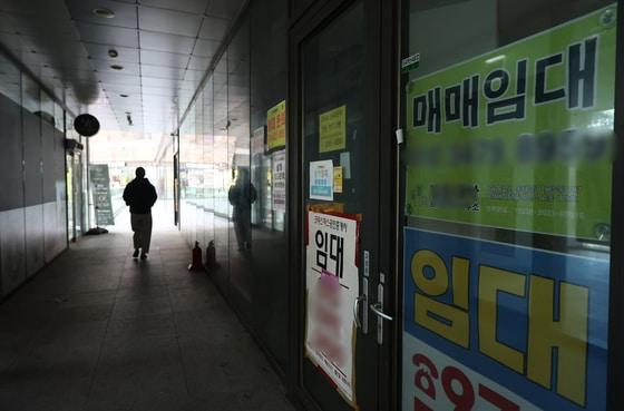 본문 이미지 - 자료사진/뉴스1