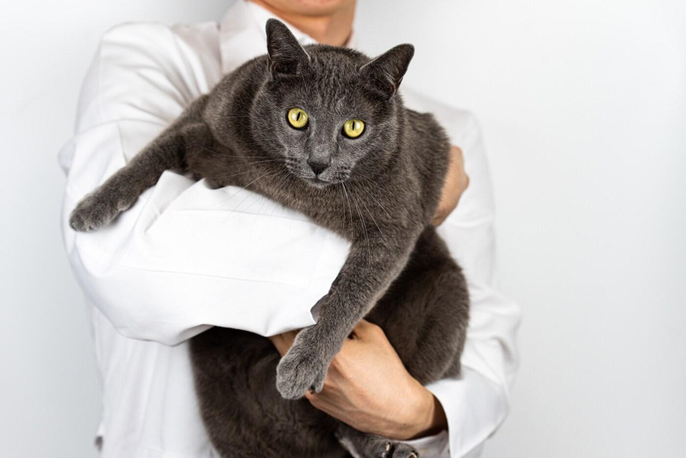 (클립아트코리아)