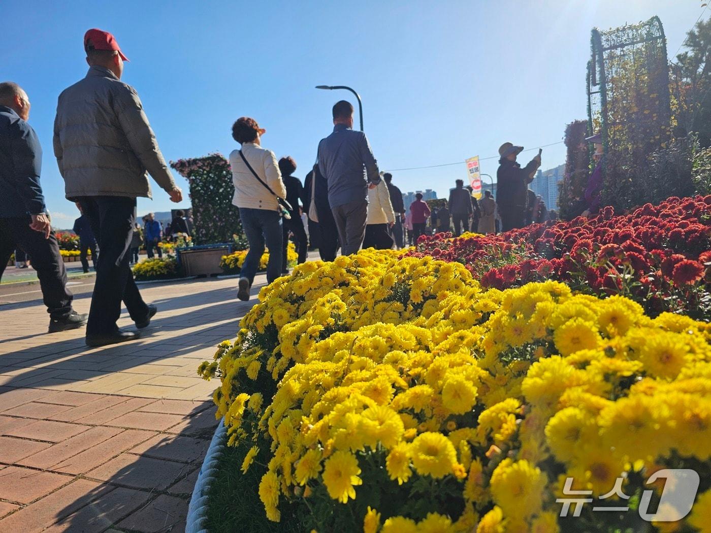 본문 이미지 - 2일 마산 가고파 국화축제가 열린 3·15 해양누리공원에 나들이객 발걸음이 이어지고 있다. 2025.11.2 ⓒ 뉴스1 박민석 기자
