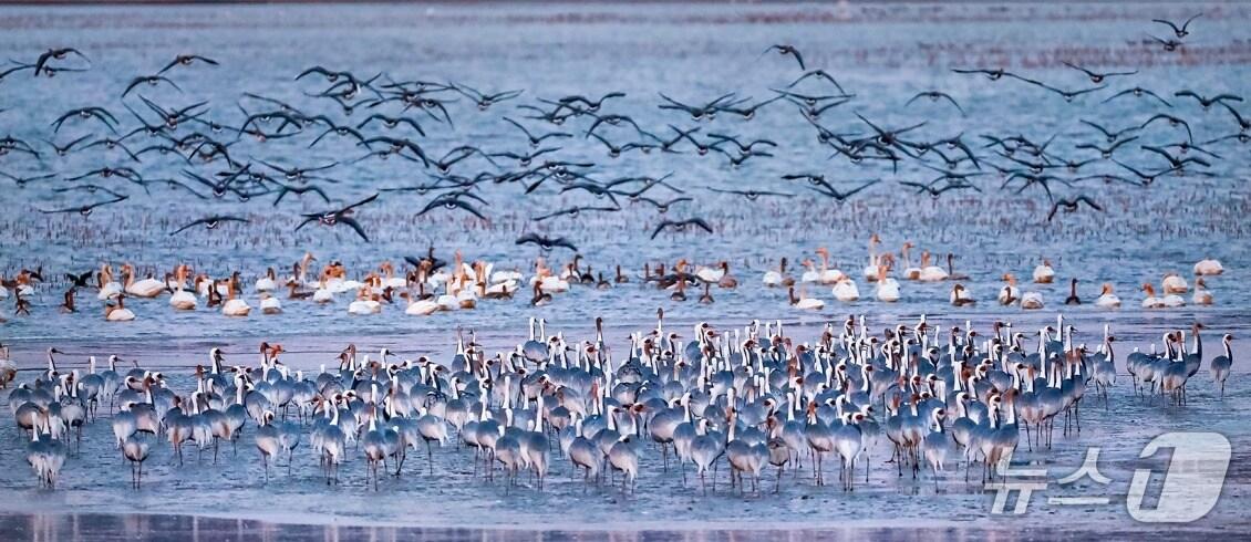 본문 이미지 - (기후부 제공) ⓒ 뉴스1