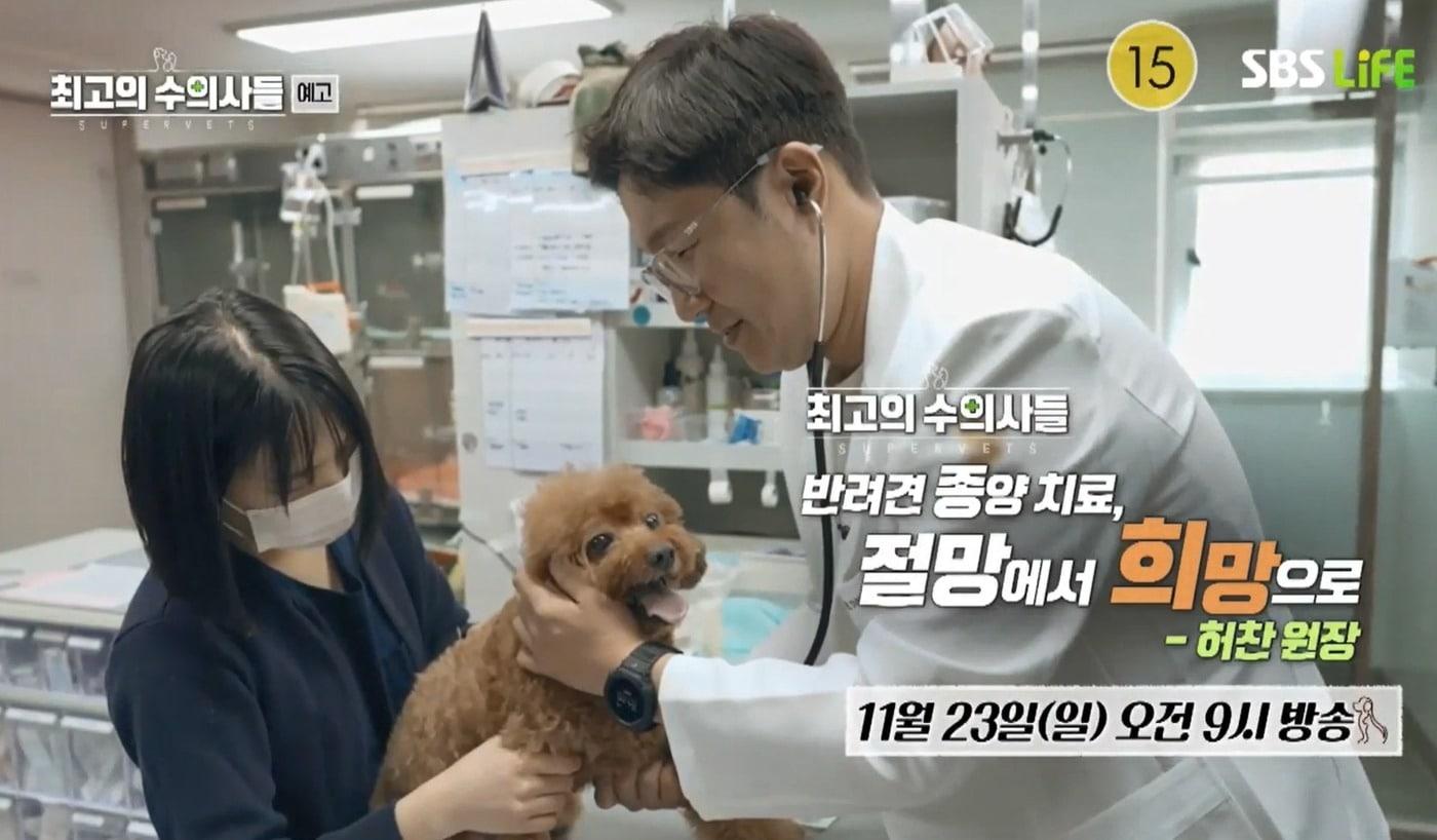 허찬 원장이 반려동물을 진료하고 있다(최고의 수의사들 예고편). ⓒ 뉴스1