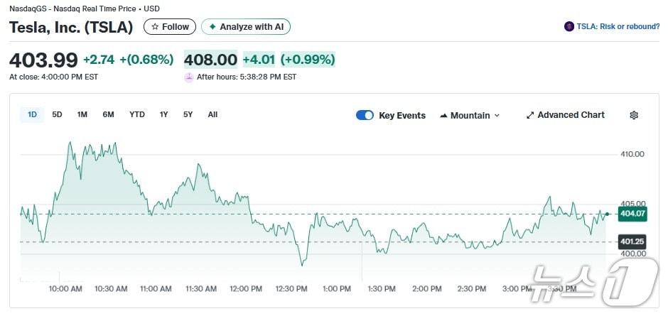 본문 이미지 - 테슬라 일일 주가추이 - 야후 파이낸스 갈무리