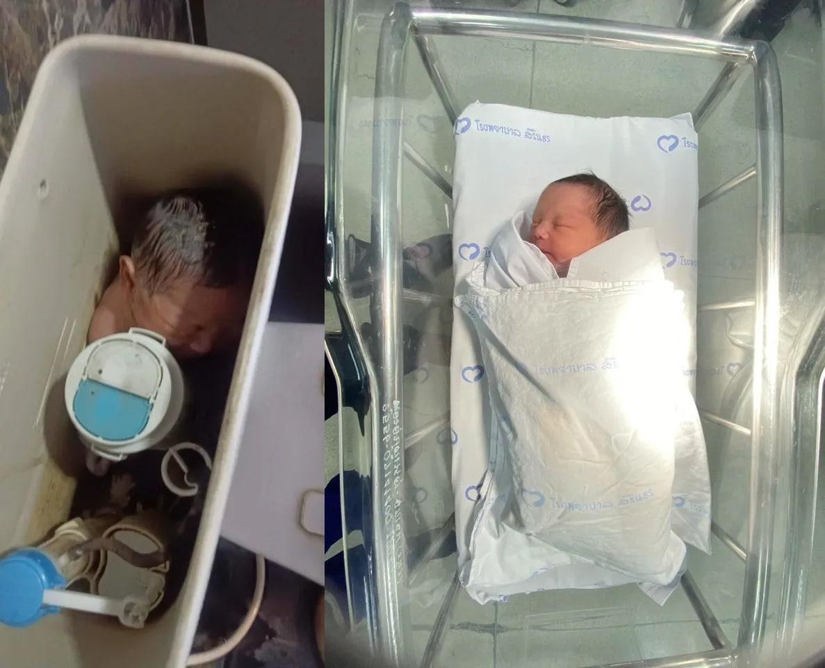 본문 이미지 - (데일리메일 갈무리)