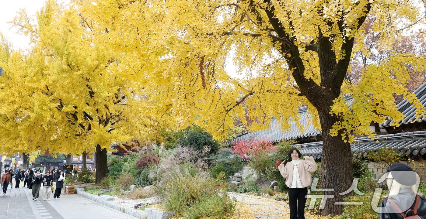 본문 이미지 - 20일 전북 전주시 한옥마을을 찾은 시민들과 관광객들이 노랗게 물든 은행나무를 보며 늦가을 정취를 만끽하고 있다. 2025.11.20/뉴스1 ⓒ News1 유경석 기자