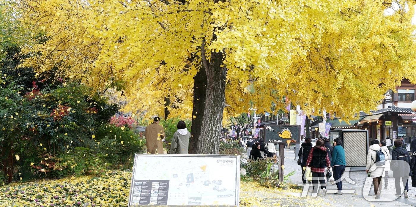 본문 이미지 - 지난 20일 전북 전주시 한옥마을을 찾은 시민들과 관광객들이 노랗게 물든 은행나무를 보며 늦가을 정취를 만끽하고 있다. 2025.11.20/뉴스1 ⓒ News1 유경석 기자