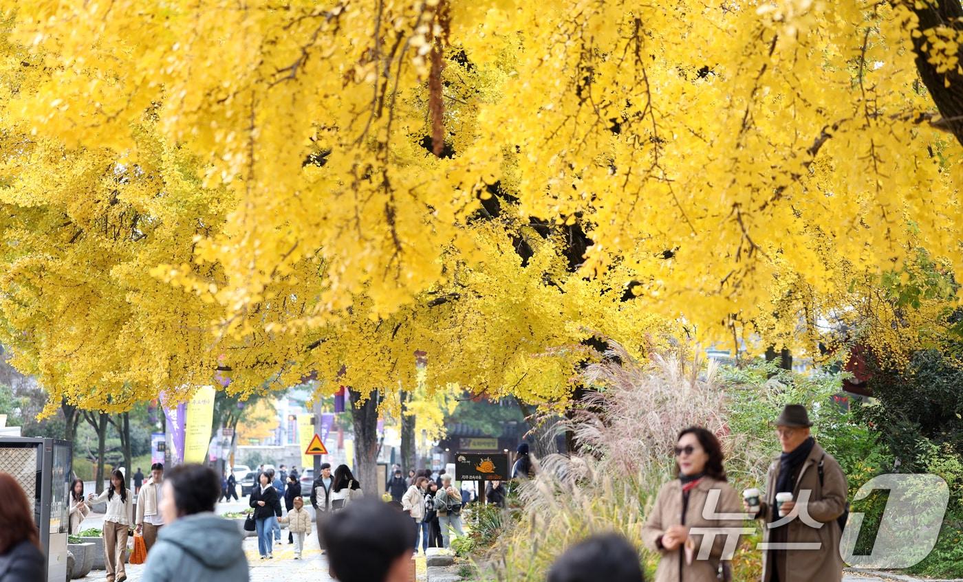 시민들이 노랗게 물든 은행나무를 보며 늦가을 정취를 만끽하고 있다. 2025.11.20/뉴스1 ⓒ News1 유경석 기자