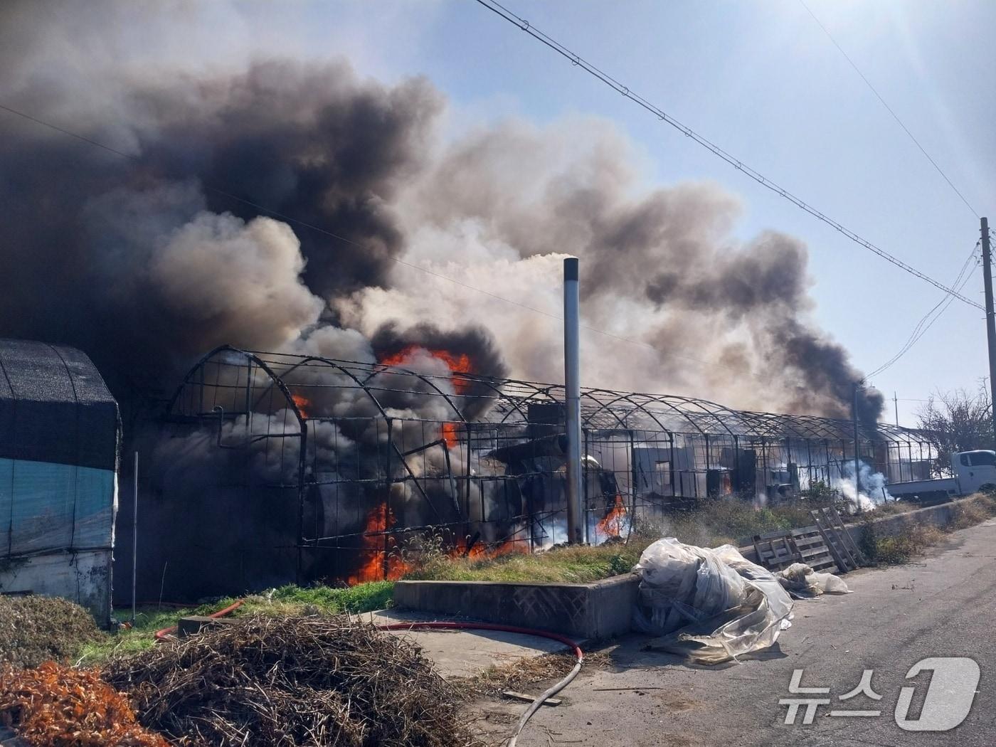 본문 이미지 - 20일 오전 10시 39분쯤 김해시 대동면의 한 비닐하우스에서 불이 났다. 사진은 화재 현장 모습.(경남소방본부 제공. 재판매 및 DB금지)