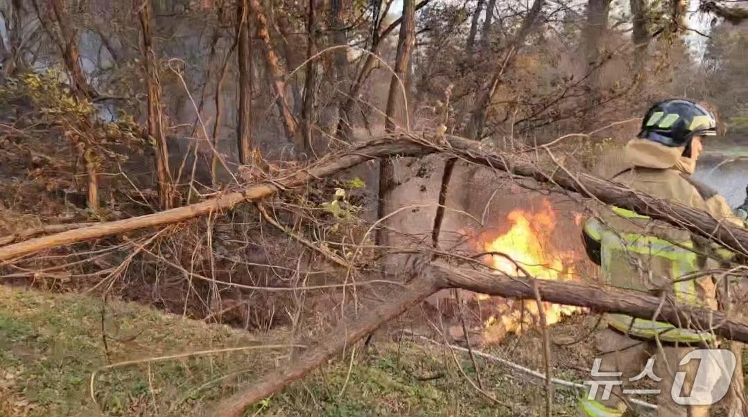 본문 이미지 - 20일 오후 4시 13분쯤 충북 청주시 흥덕구 서촌동 한 야산에서 불이 나 30여 분만에 모두 꺼졌다.&#40;청주서부소방서 제공. 재판매 및 DB금지&#41;/뉴스1