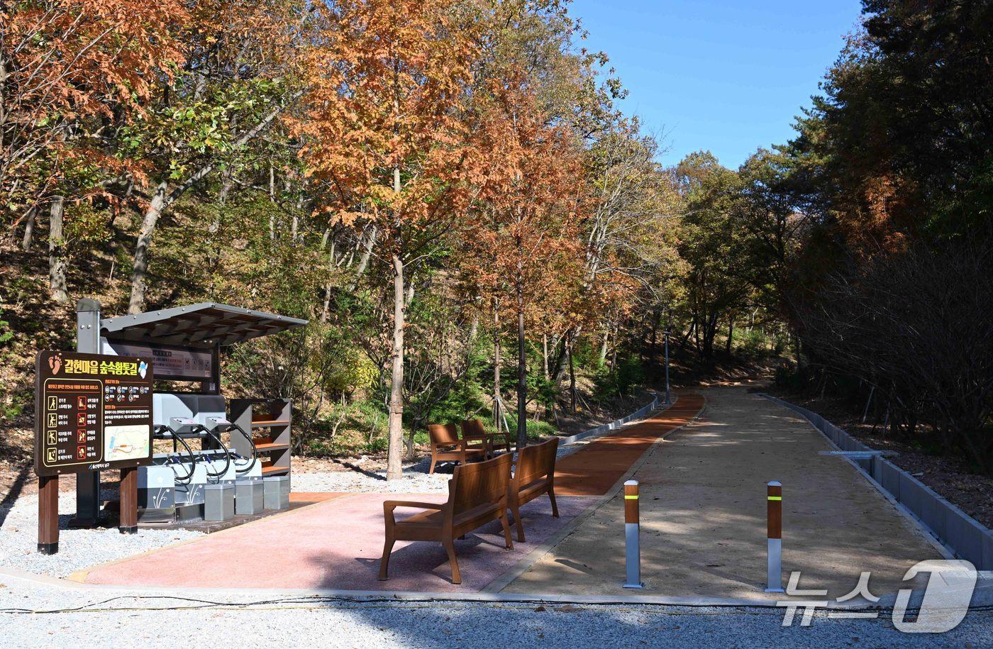 울산 남구 갈현마을 '힐링 누리길' 전경.(울산 남구 제공. 재판매 및 DB금지)/뉴스1