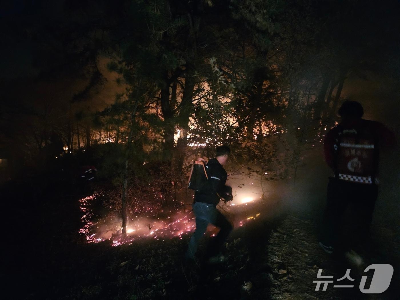 본문 이미지 -  태안 소원면 의항리 산불 현장. (산림청 제공, 재판매 및 DB금지) / 뉴스1