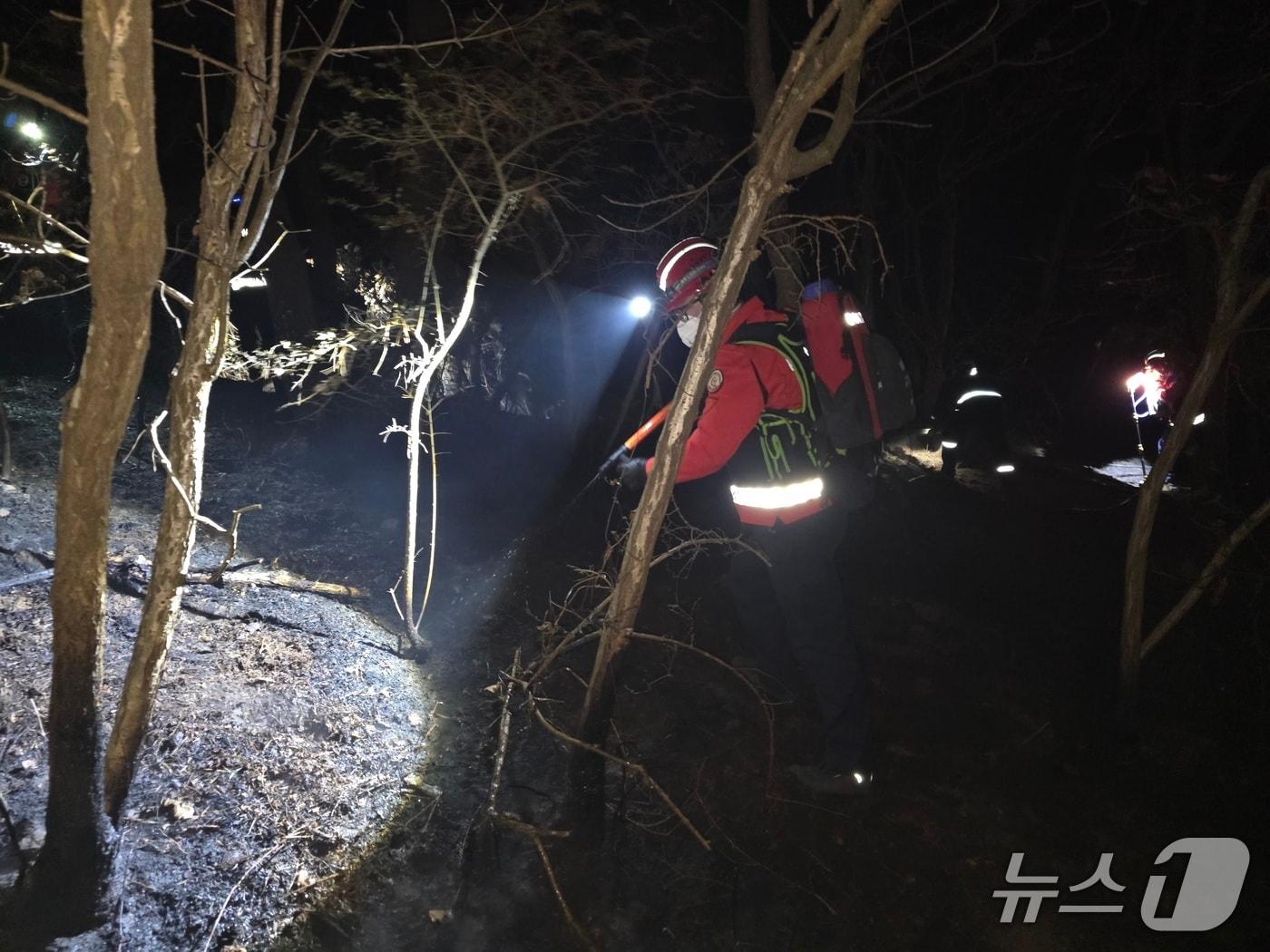 본문 이미지 -  천안 동남구 목천읍 산불 현장. &#40;산림청 제공, 재판매 및 DB금지&#41; / 뉴스1