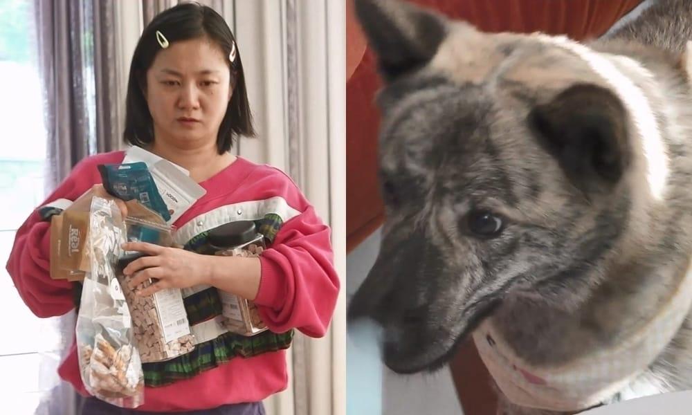 본문 이미지 - MBC