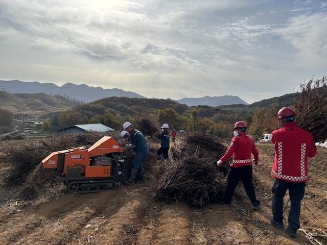 본문 이미지 - 영농부산물 파쇄 모습.(보령시 제공. 재판매 및 DB금지)/뉴스1