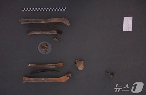 본문 이미지 - 2024년 11월 대구광역시 군위군에서 발굴된 고&#40;故&#41; 구자길 일병의 유해. &#40;국유단 제공&#41;