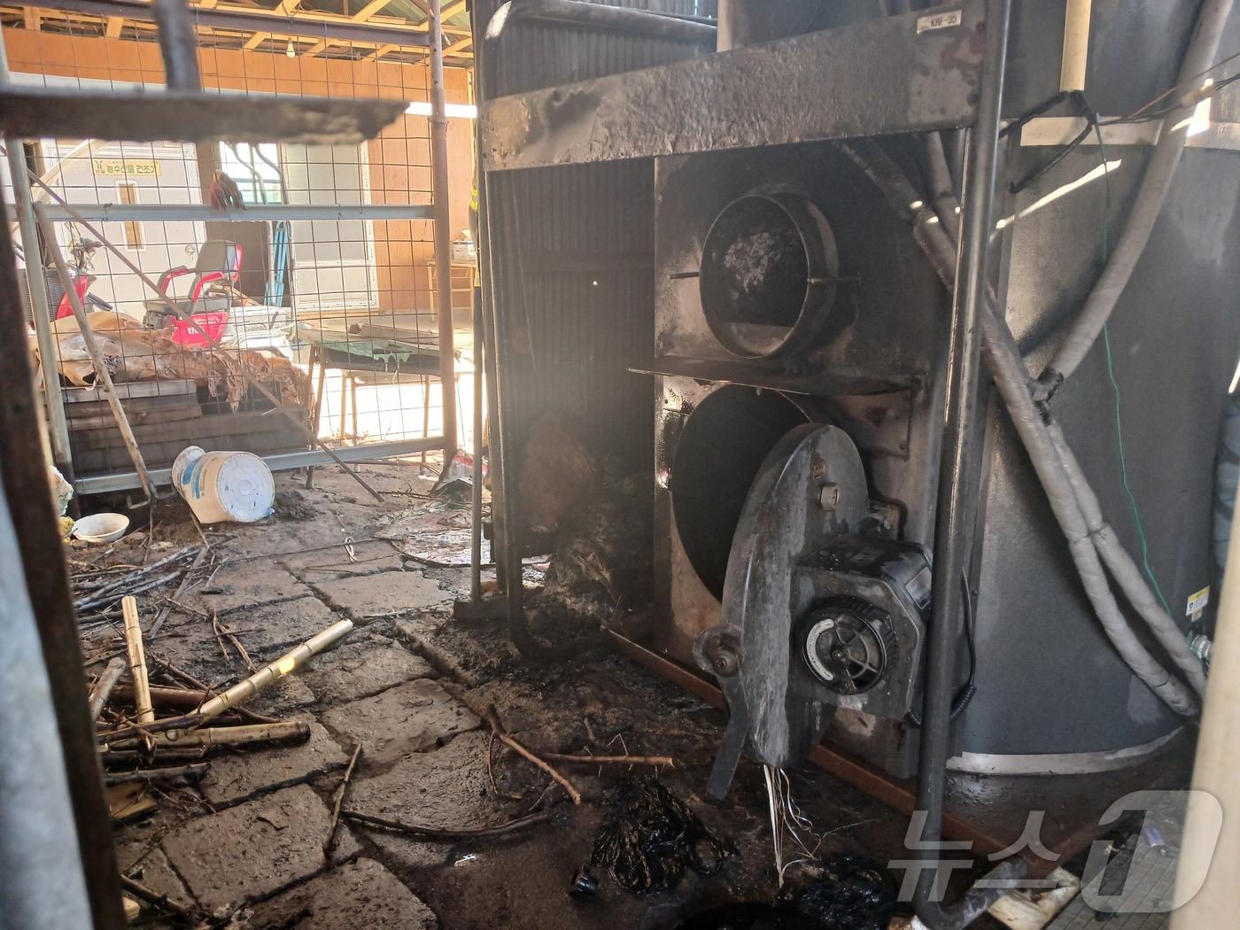 본문 이미지 - 화목보일러 화재./뉴스1