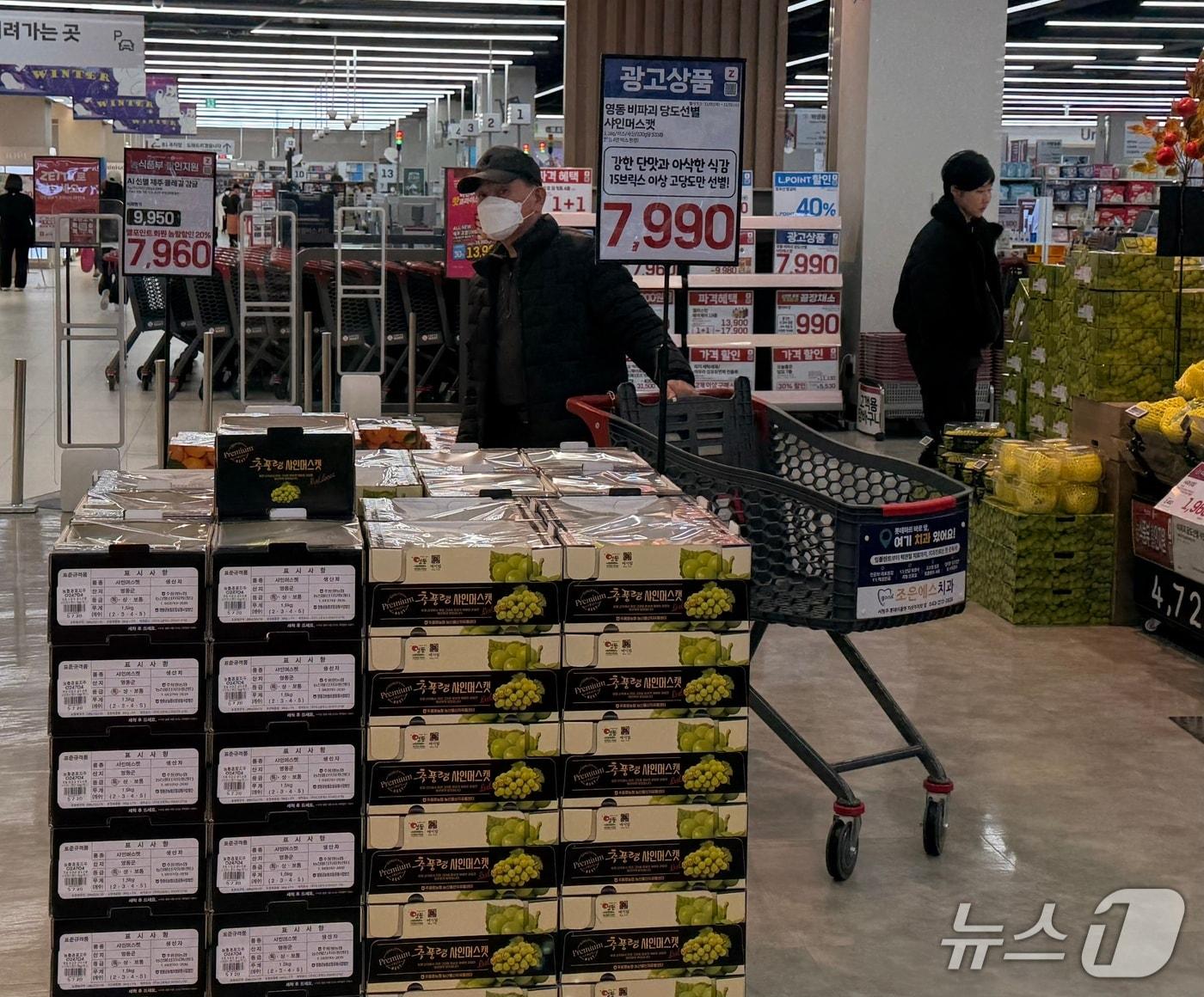 본문 이미지 - 영동군 샤인머스캣 할인 행사 (영동군 제공. 재판매 및 DB금지) /뉴스1 