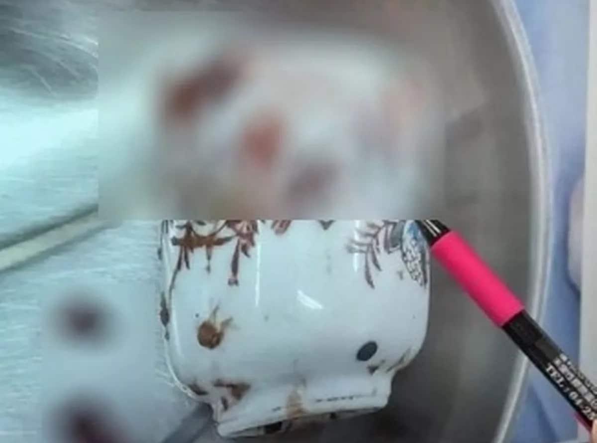 본문 이미지 - (신츄데일리)