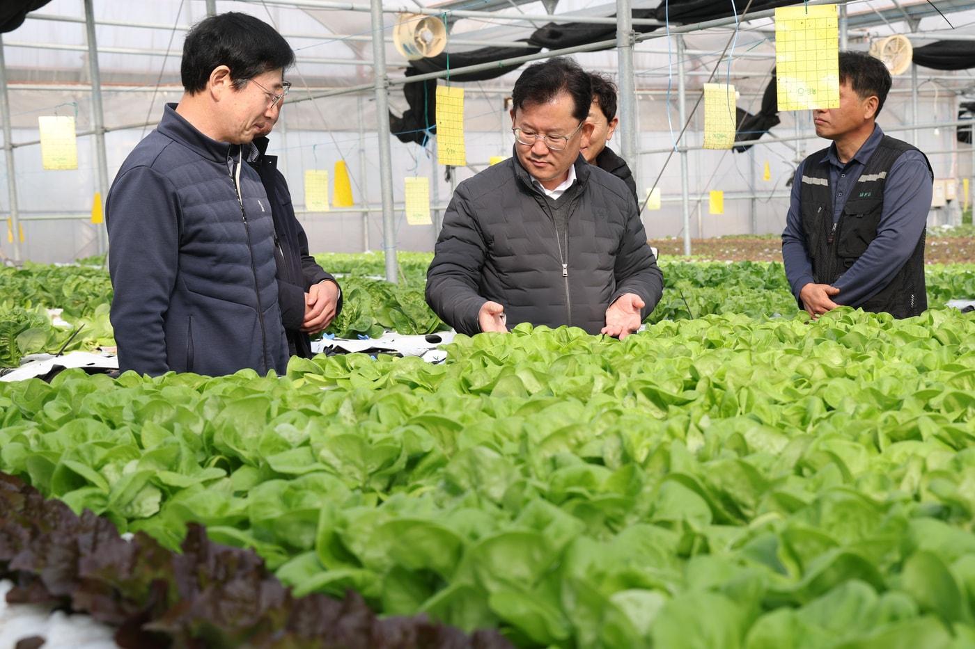 이승돈 농촌진흥청장이 21일 제주특별자치도에서 스마트 온실 적용 현장을 점검하고 있다.&#40;농촌진흥청 제공&#41; 2025.11.21 /뉴스1