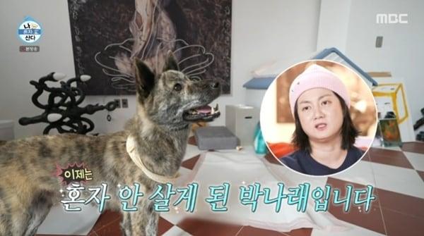 본문 이미지 - MBC '나 혼자 산다'