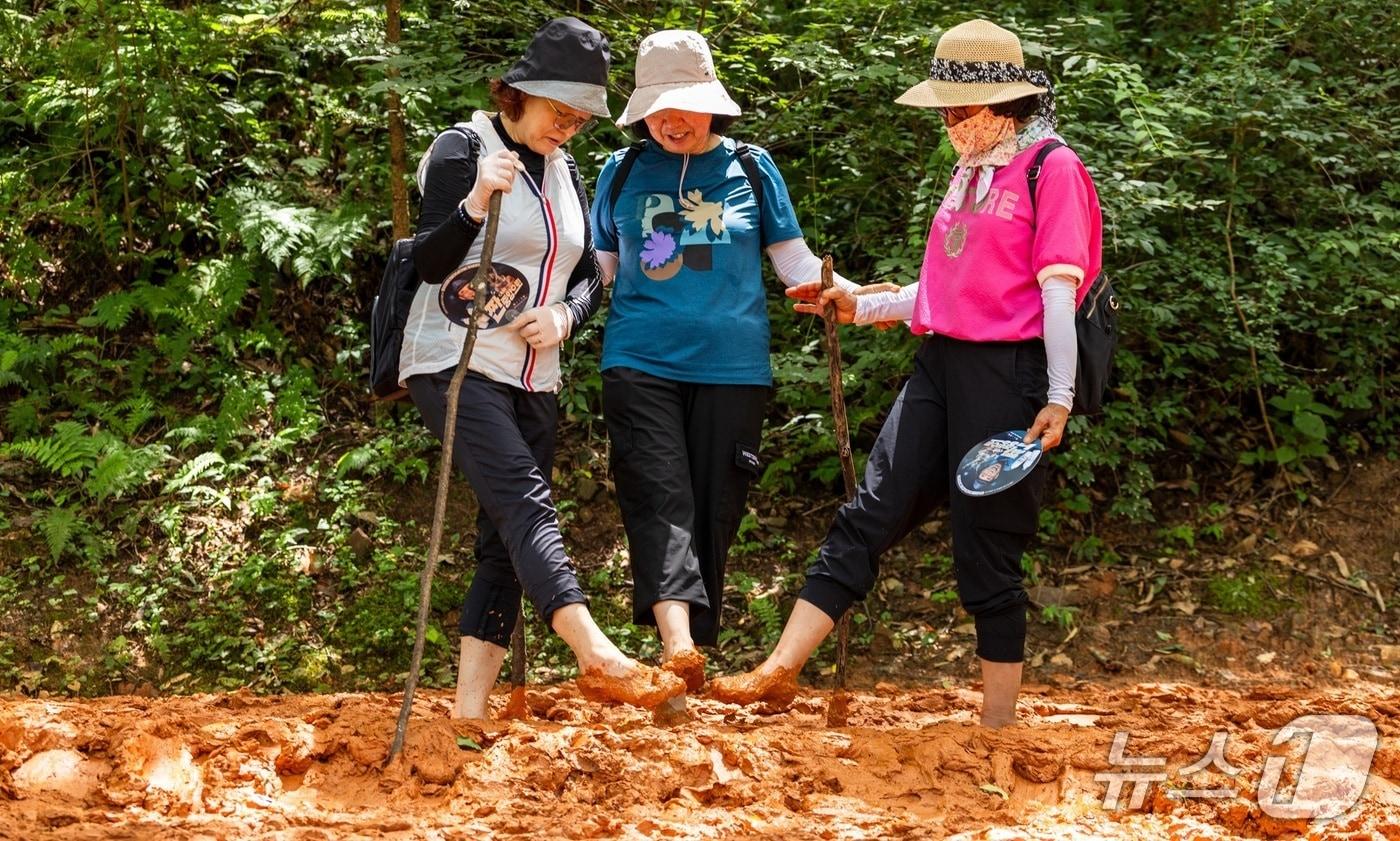 계족산 황톳길 &#40;대전시 제공&#41; / 뉴스1 