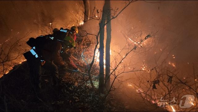 본문 이미지 - 23일 새벽 강원 양양 서면 일대에서 발생한 산불 현장에서 진화대원이 야간 진화 작전을 펼치고 있다.  &#40;동부지방산림청 제공, 재판매 및 DB 금지&#41; 2025.11.23/뉴스1