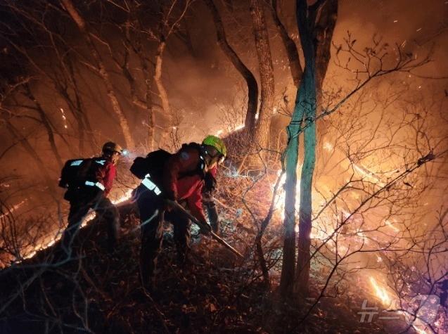 본문 이미지 - 23일 새벽 강원 양양 서면 일대에서 발생한 산불 현장에서 진화대원이 야간 진화 작전을 펼치고 있다. &#40;동부지방산림청 제공, 재판매 및 DB 금지&#41; 2025.11.23/뉴스1