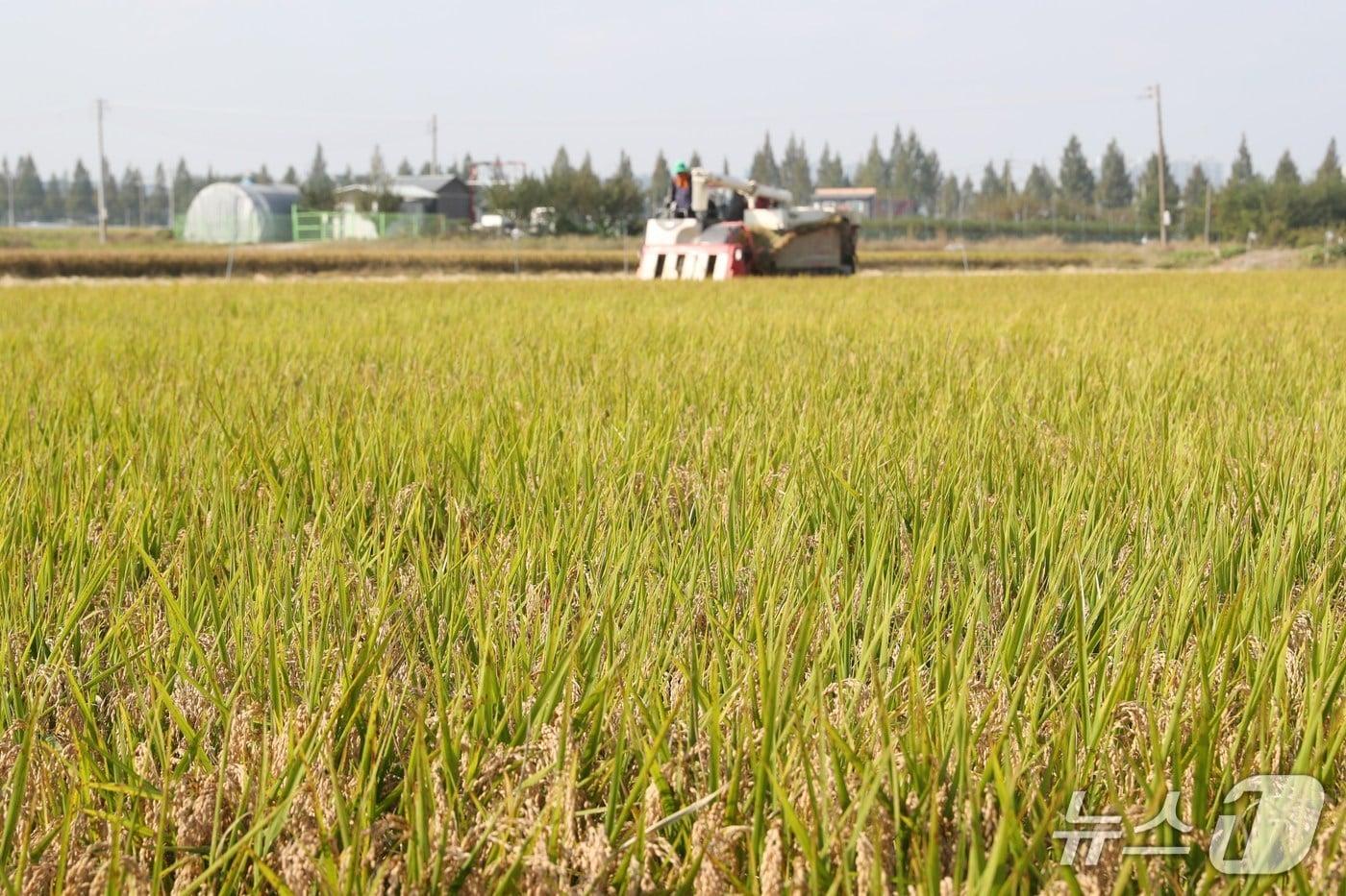 청주시 청원생명쌀 재배 농지.&#40;시 제공&#41;/뉴스1