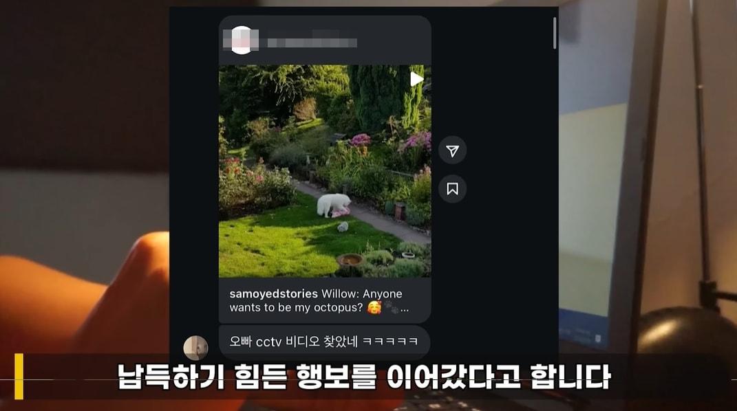 본문 이미지 - 독일인 A 씨가 한국인 남성에게 보낸 성희롱 메시지. 출처=이진호 유튜브 채널