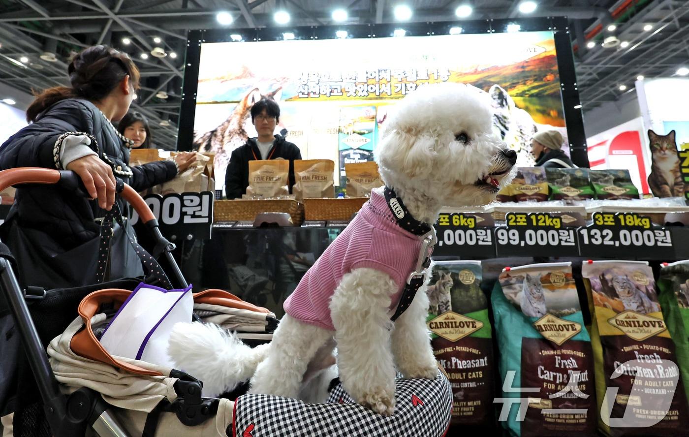 본문 이미지 - 지난해 11월 23일 경기 고양시 킨텍스에서 진행중인 '2025 메가주 일산'을 찾은 견주와 반려견이 사료를 살펴보고 있다.  ⓒ 뉴스1 장수영 기자