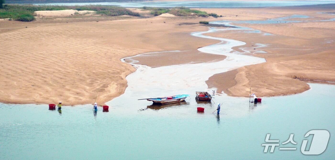 본문 이미지 - 섬진강 재첩잡이 손틀어업.(하동군 제공. 재판매 및 DB금지)