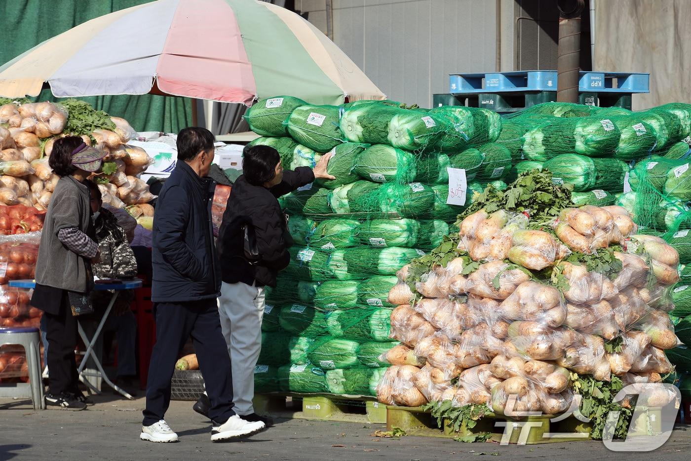 농수산물도매시장에 무·배추 등 김장 재료를 사려는 발길이 이어지고 있다. 2025.11.24/뉴스1 ⓒ News1 공정식 기자