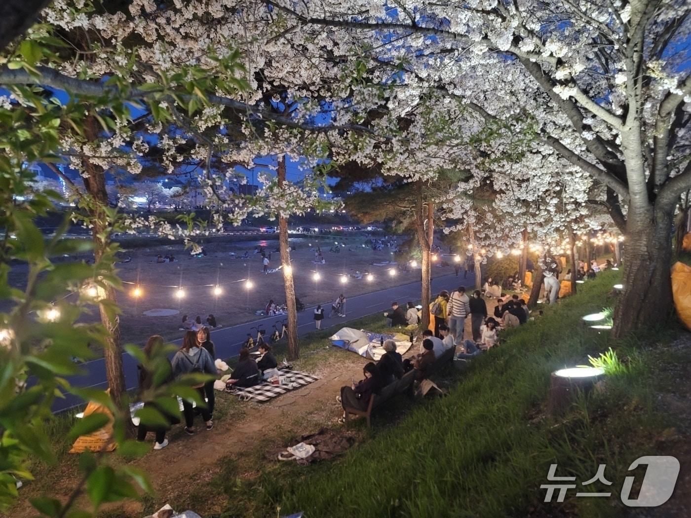 본문 이미지 - 벚꽃과 함께하는 제3회 청주 푸드트럭 축제 모습.&#40;청주시 제공. 재판매 및 DB금지&#41;/뉴스1