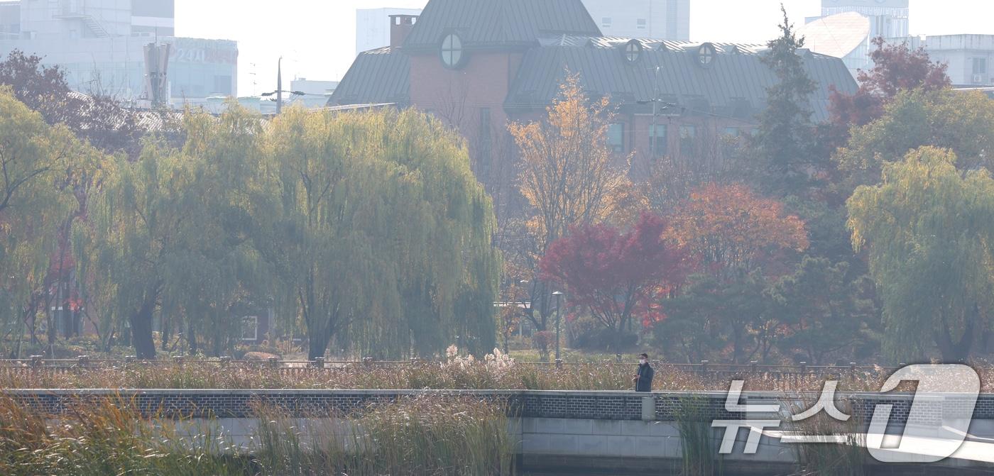 전주시 덕진공원 일원이 뿌옇게 보이고 있다. 2025.11.24/뉴스1 ⓒ News1 유경석 기자
