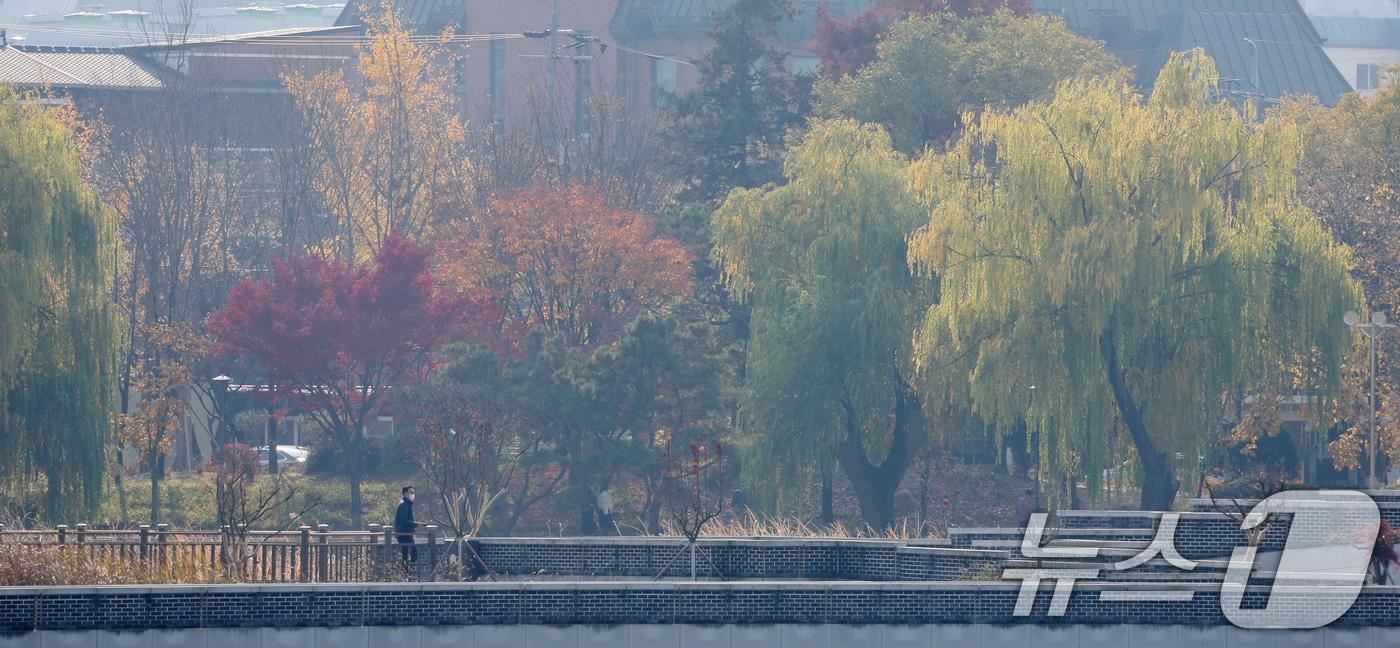 전주지역 초미세먼지 농도가 나쁨 수준을 보인 지난 24일 전북 전주시 덕진공원 일원이 뿌옇게 보이고 있다. 2025.11.24/뉴스1 ⓒ News1 유경석 기자