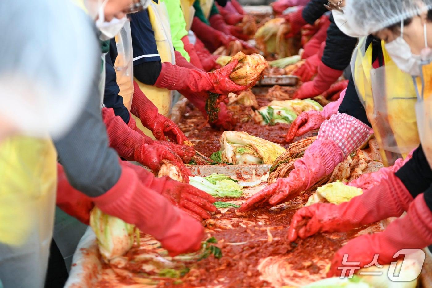 대구 달성군자원봉사센터는 김장 나눔 행사를 열어 1500포기 배추를 버무리고 있다.&#40;대구 달성군 제공. 재판매 및 DB금지&#41;