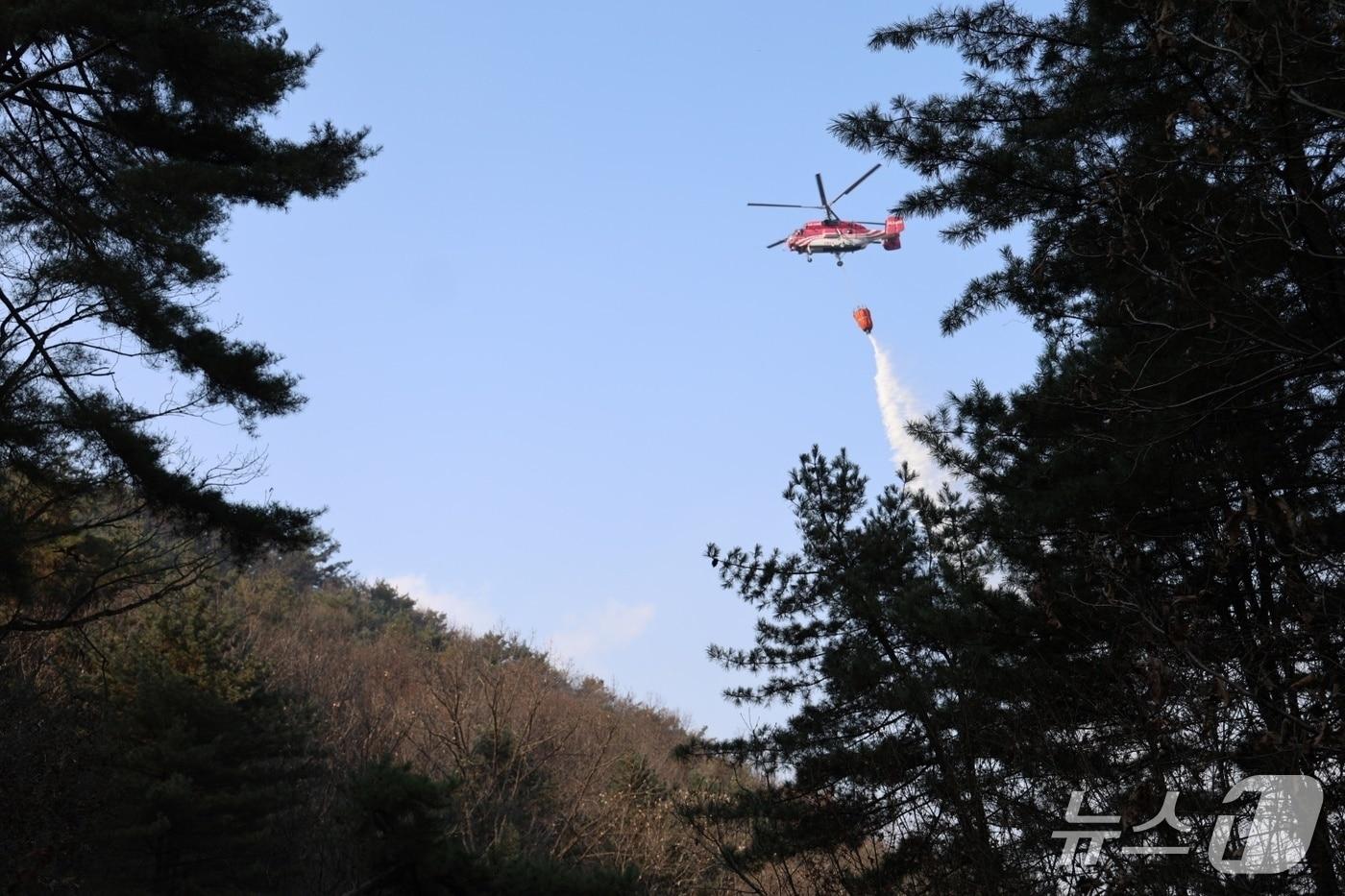 본문 이미지 - 산불진화에 나선 헬기.(단양소방서 제공, 재판매 및 DB금지)/뉴스1   