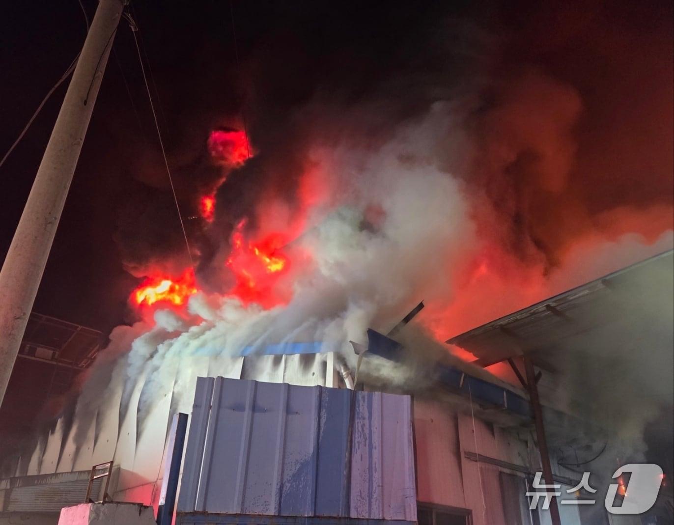본문 이미지 - 24일 오후 10시59분쯤 대구 달성군 하빈면에 있는 한 섬유공장에서 불이 나 화염이 치솟고 있다. (대구소방본부 제공. 재판매 및 DB 금지) 2025.11.24/뉴스1