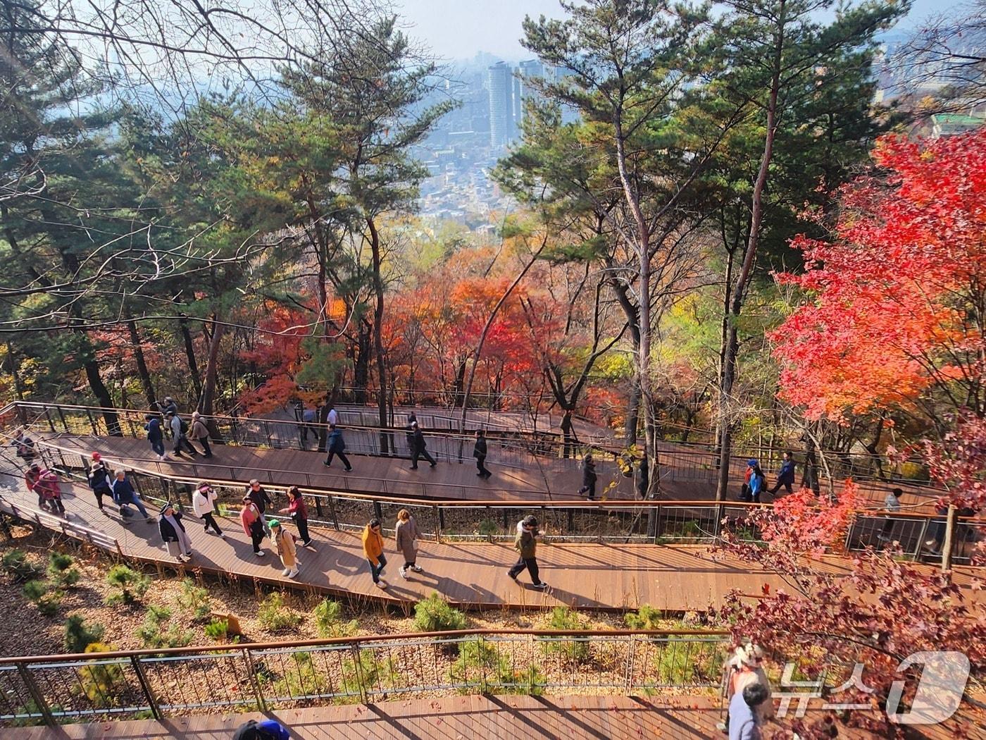 본문 이미지 - 시민이 이용 중인 남산 하늘숲길 모습.&#40;서울시 제공&#41;