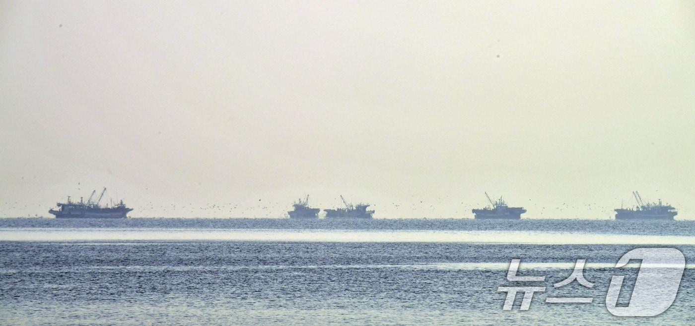 본문 이미지 - 25일 오전 경북 포항시 송도해수욕장 앞 바다에서 멸치잡이 어선들이 작업에 한창이다. 2025.11.25 ⓒ 뉴스1 최창호 기자