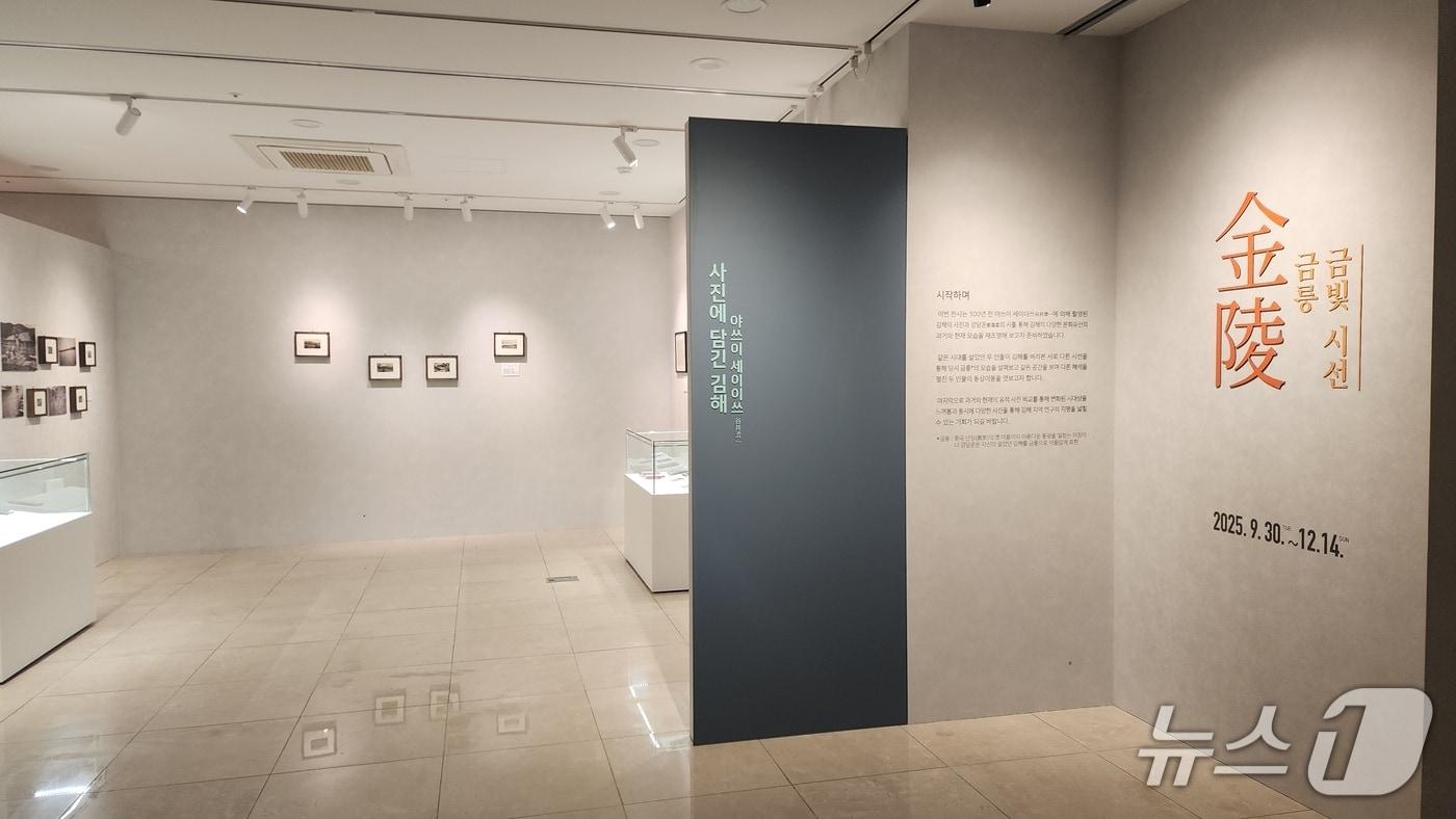 본문 이미지 - 김해대성동고분박물관에서 다음달 14일까지 열리는 특별전 '금릉 금빛 시선' 전시 모습.(김해시 제공. 재판매 및 DB금지)